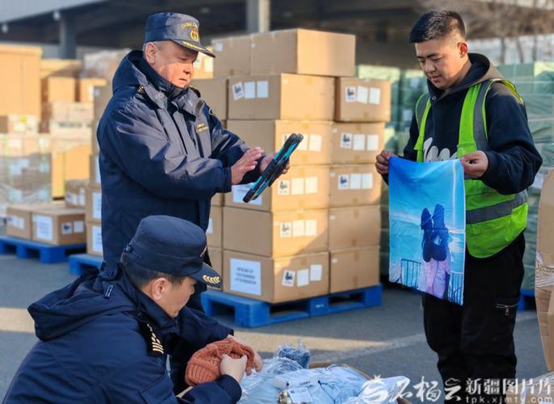 报关报检服务行业动态：最新趋势与策略分析